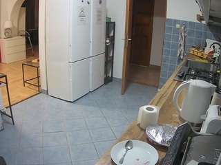 voyeurcam-julmodels-kitchen