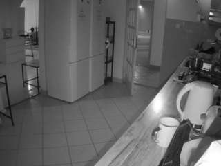 voyeurcam-julmodels-kitchen