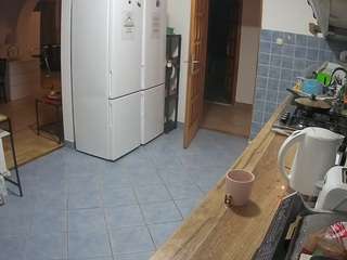 voyeurcam-julmodels-kitchen webcam