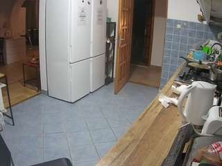 voyeurcam-julmodels-kitchen