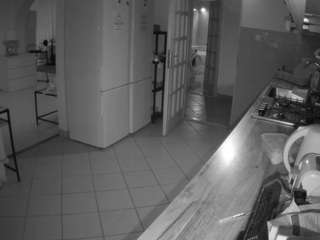 voyeurcam-julmodels-kitchen webcam