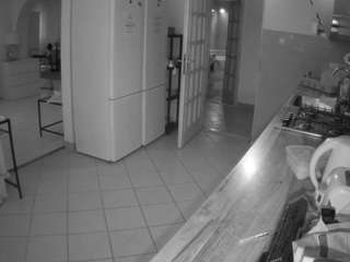 voyeurcam-julmodels-kitchen webcam