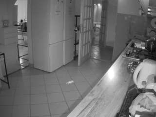 voyeurcam-julmodels-kitchen, female webcam model,  years old, on live webcam
