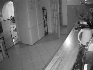 voyeurcam-julmodels-kitchen webcam