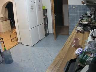 voyeurcam-julmodels-kitchen webcam