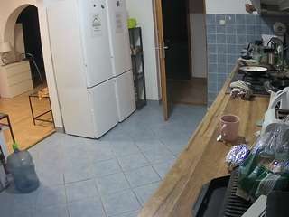 voyeurcam-julmodels-kitchen
