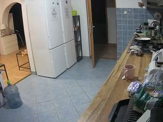 voyeurcam-julmodels-kitchen