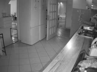 voyeurcam-julmodels-kitchen webcam