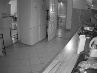 voyeurcam-julmodels-kitchen webcam