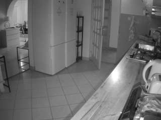 voyeurcam-julmodels-kitchen webcam