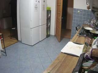 voyeurcam-julmodels-kitchen