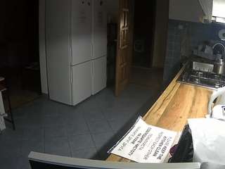 voyeurcam-julmodels-kitchen's CamSoda show and profile