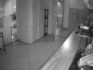 voyeurcam-julmodels-kitchen