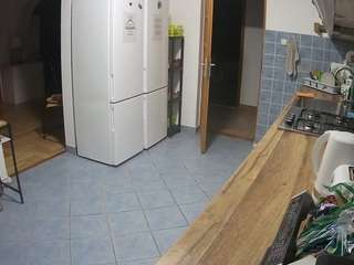 voyeurcam-julmodels-kitchen