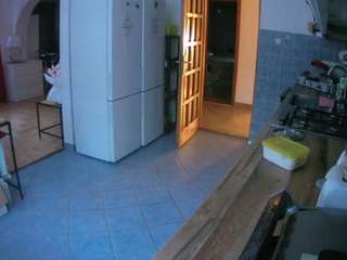 voyeurcam-julmodels-kitchen