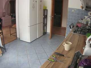 voyeurcam-julmodels-kitchen