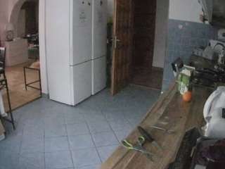 voyeurcam-julmodels-kitchen