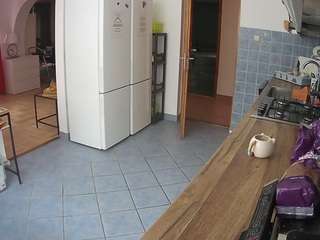 voyeurcam-julmodels-kitchen