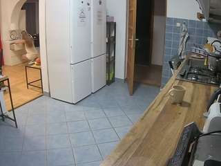 voyeurcam-julmodels-kitchen