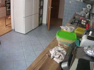 voyeurcam-julmodels-kitchen
