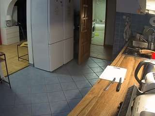 voyeurcam-julmodels-kitchen