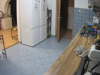 voyeurcam-julmodels-kitchen