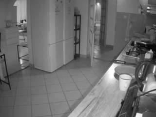 voyeurcam-julmodels-kitchen