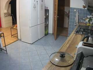 voyeurcam-julmodels-kitchen