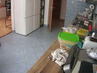 voyeurcam-julmodels-kitchen
