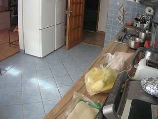 voyeurcam-julmodels-kitchen
