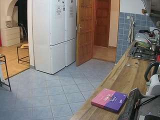 voyeurcam-julmodels-kitchen