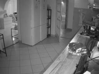 voyeurcam-julmodels-kitchen