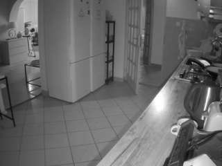 voyeurcam-julmodels-kitchen