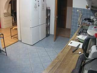 voyeurcam-julmodels-kitchen
