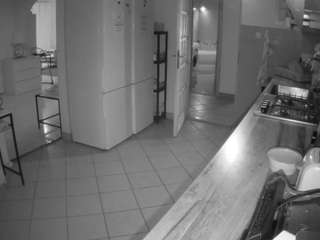 voyeurcam-julmodels-kitchen