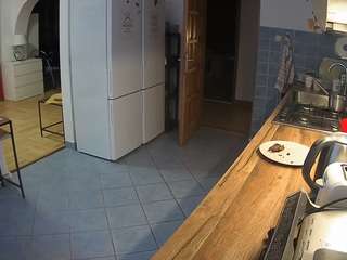 voyeurcam-julmodels-kitchen
