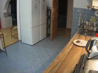 voyeurcam-julmodels-kitchen