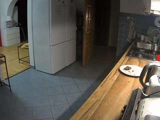 voyeurcam-julmodels-kitchen