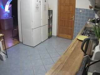 voyeurcam-julmodels-kitchen