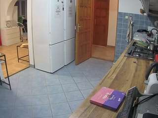 voyeurcam-julmodels-kitchen