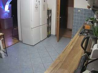 voyeurcam-julmodels-kitchen