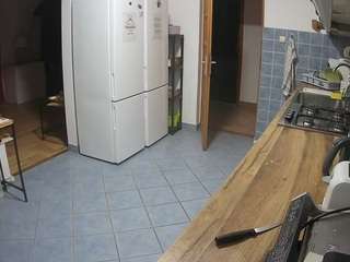 voyeurcam-julmodels-kitchen