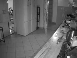 voyeurcam-julmodels-kitchen