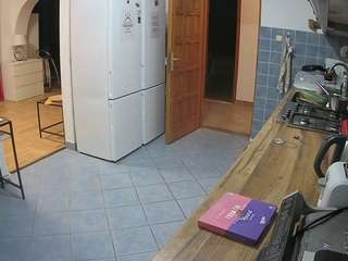 voyeurcam-julmodels-kitchen