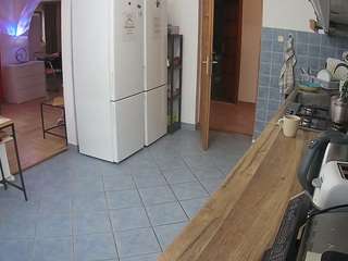 voyeurcam-julmodels-kitchen