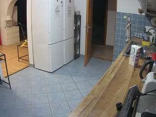 voyeurcam-julmodels-kitchen