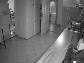 voyeurcam-julmodels-kitchen