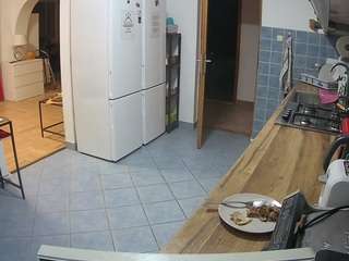 voyeurcam-julmodels-kitchen
