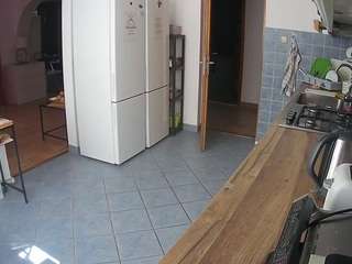 voyeurcam-julmodels-kitchen