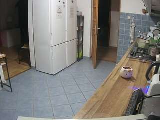 voyeurcam-julmodels-kitchen